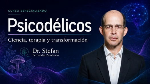 Psicodélicos — Dr. Stefan Fernández
